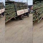 Passersby Flee As Overloaded Truck With Bamboo Poles Jiggles On The Street (WATCH)