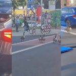 Nigerian Woman Amazed As Drivers Wait For Geese Crossing Road In Germany (VIDEO)