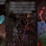 "pregnancy no be anybody mate oo" – Pregnant Wife's Coco Yam Leaf Craving Sends Husband Into Bush At 2 am (WATCH)