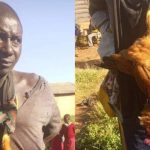 Man caught stealing chicken forced to wear it as a tie