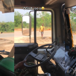 A Young Man Driven To Desǝration From Hungǝr Eats A Roadside Sacr!fice To Relieve His Pa!n (VIDEO)