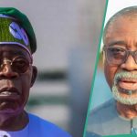 Cabinet Shake up: ‘Whoever is Made Minister Will Fail’, Abaribe, Gives Reason