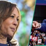 Donald Trump vs Harris: Final Poll Shows How Candidates are Fairing as Voting Continues in US