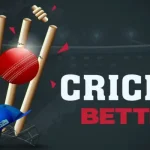 How To Get Started On Cricket Betting: Types Of Bets And Odds