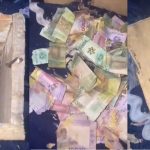 Lady lamǝnts as rats invade and feast on the money notes in her safe boxes (VIDEO)