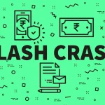 Role of Technology Providers During Flash Crashes