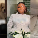 "The dog came for the wedding" – Nigerian bride's clingy dog hid underneath her bridal dress on wedding day (WATCH)