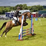 5 Tips To Prepare Your Horse For Competition