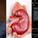 Influencer shares disturbing message from follower seeking to sell a kidney