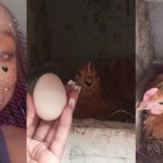 Lady celebrates on social media as her hen, Rihanna, lays first egg
