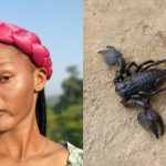 Lady narrowly escapes harm as scorpion falls from top of shower while bathing