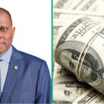 Dollar Supply in The Official Market Surges to $43 Billion as Naira Trades at New Rates