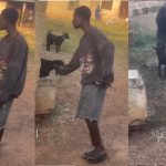 "Help me find this boy for this December" – Netizens react as boy "professionally" catches goat by its neck (WATCH)