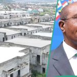 Is Emefiele Owner of 753 Forfeited Duplexes? EFCC's Court Document Mentions the Accused