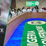 36 Governors Finally Endorse State Police, Submit Report to NEC