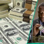 BDCs Finally React as CBN Allows Members to Buy $25,000 Weekly from NAFEM