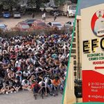 Breaking: EFCC Makes Biggest Arrest in 1 Day, Details Emerge