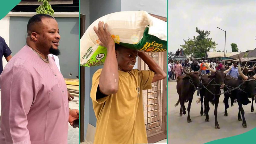 Christmas: Nigerian Man Buys Over 10 Cows, Bags Of Rice to Distribute in His Community