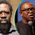 Did Dele Farotimi Send Peter Obi to Meet Afe Babalola Over his Arrest? Lawyer Clears Air