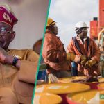 FG Speaks on Opening More Refineries as Warri Refining Company Commences Operation
