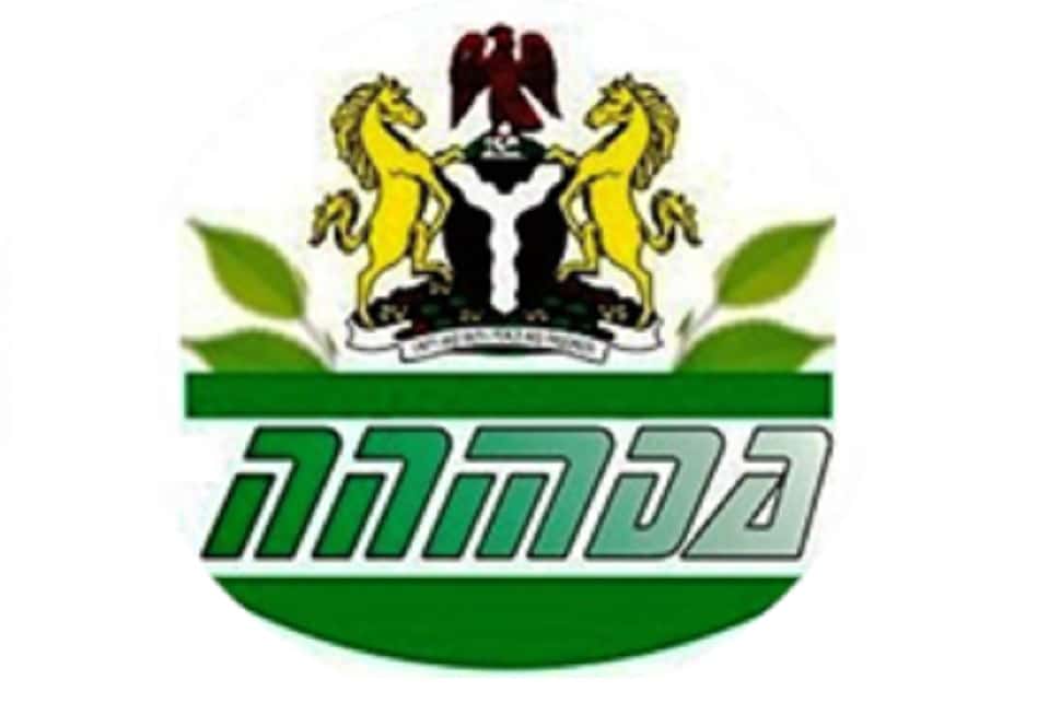 NNMDA Targets Transformative Advances In Traditional Medicine, Biodiversity In 2025