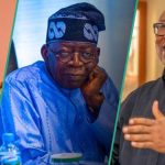 Political Analyst Explains How Kwankwaso, Obi, GEJ Can Form Alliance Against Tinubu in 2025