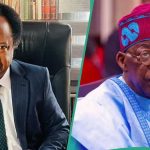 "President Wants You to Switch Off The Lights": Shehu Sani on Tinubu's Remarks