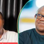 "Tinubu, I'm Sorry": Ardent Peter Obi Supporter Ditches LP, Declares Support for APC