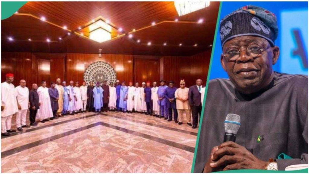 Tinubu's Tax Reform Bills Divide 36 Governors, Details Emerge