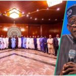 Tinubu's Tax Reform Bills Divide 36 Governors, Details Emerge