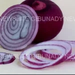These Are Things That Can Happen To Your Body When You Consume Raw Onion