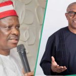 2027: Expert Speaks on What Would Happen if Peter Obi, Kwankwaso Form Alliance to Displace APC