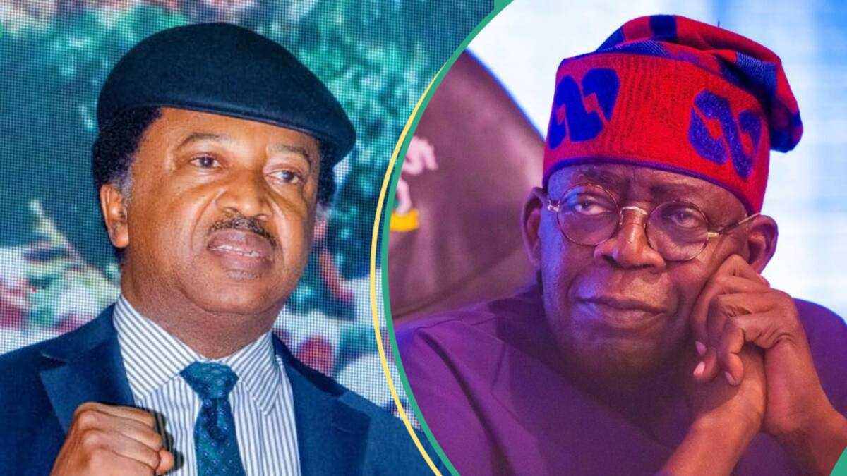 2027 Presidency: Why North Can’t Hold Tinubu to Ransom Over Tax Reforms, Shehu Sani Explains