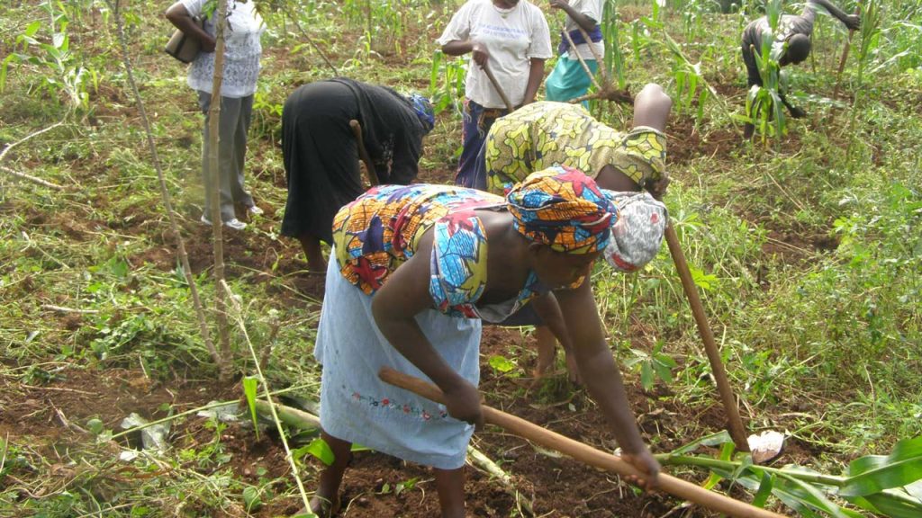 600 Women Train On Modern Farming In Bauchi
