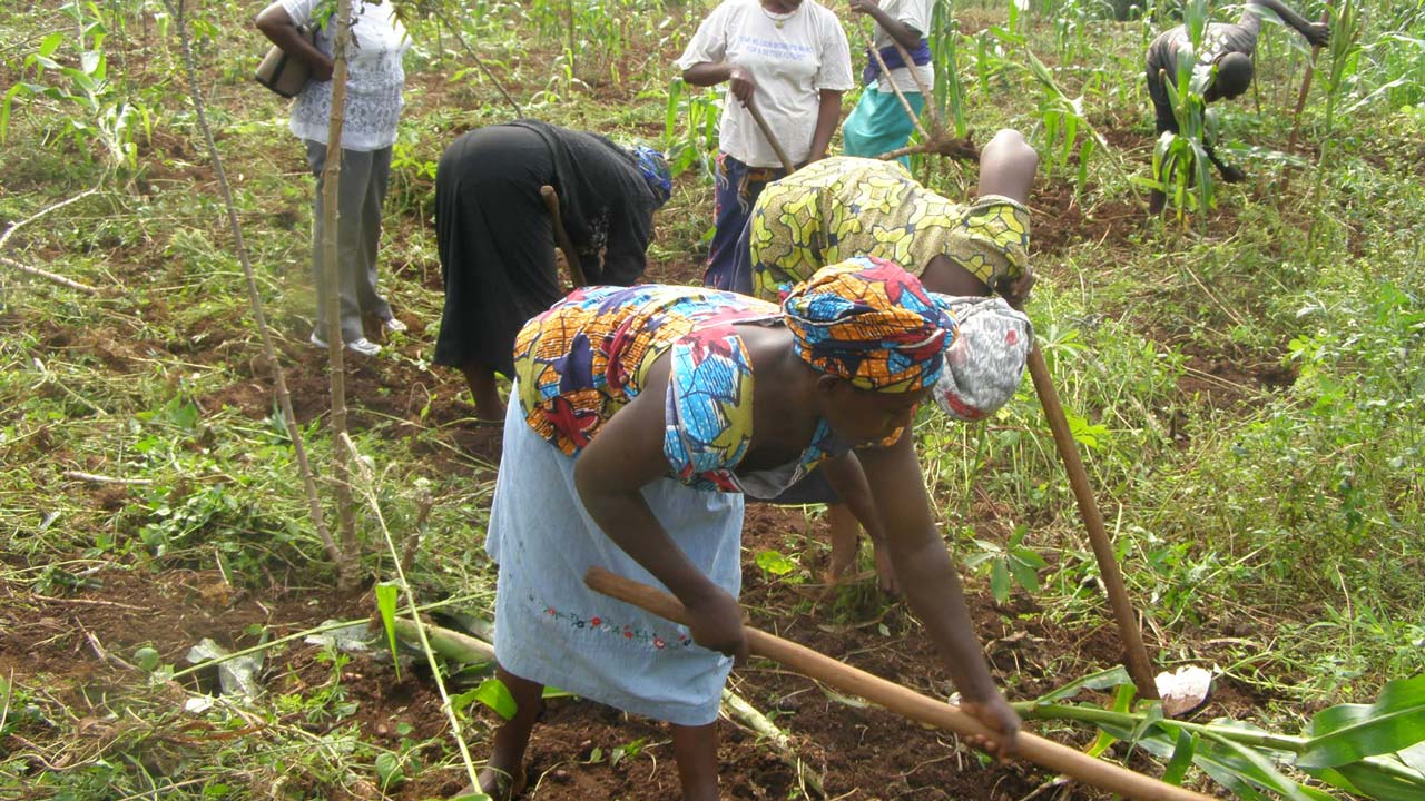 600 Women Train On Modern Farming In Bauchi