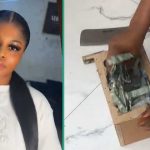 Amount of Money in Lady's Piggy Bank Stuns Social Media Users After She Broke it