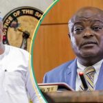 Arrested Obasa Supporters Chant Tinubu’s ‘On Your Mandate’ Song In Police Van, Video Trends