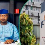 FIRS Targets Higher Revenue in 2025 Amidst Bold Tax Reforms
