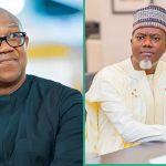 How Peter Obi Retired Top Political Bigwigs, Reno Omokri Speaks: “They’re on Life Support”