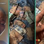 Lady Who Saved Cash in Safe Box Discovers Everything Has Rotten