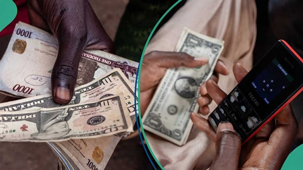 Naira Ends 2024 on a Negative Note Against US Dollar in Forex Markets