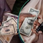 Naira Ends 2024 on a Negative Note Against US Dollar in Forex Markets