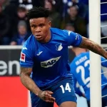 Hoffenheim Coach: Orban's Potential Is Exceptional 